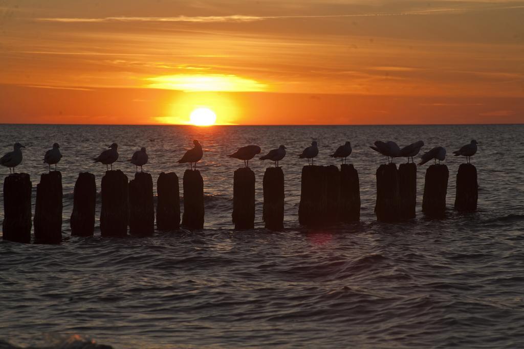 Portobello Ustka Dış mekan fotoğraf